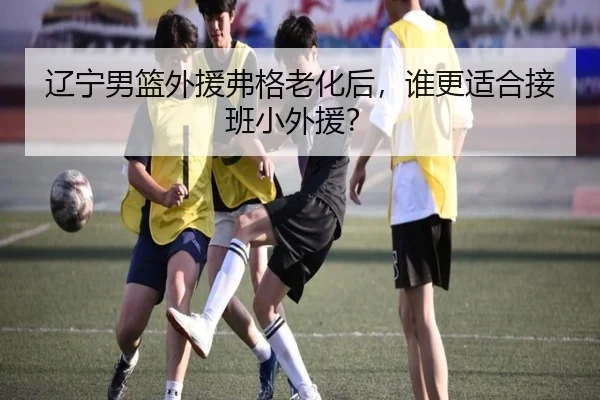 辽宁男篮外援弗格老化后,谁更适合接班小外援?